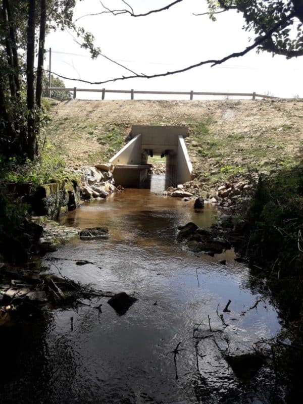 Plougasnou – Image 4